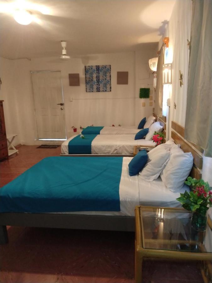 Casa San Miguel 1 Διαμέρισμα Κοζουμέλ Εξωτερικό φωτογραφία