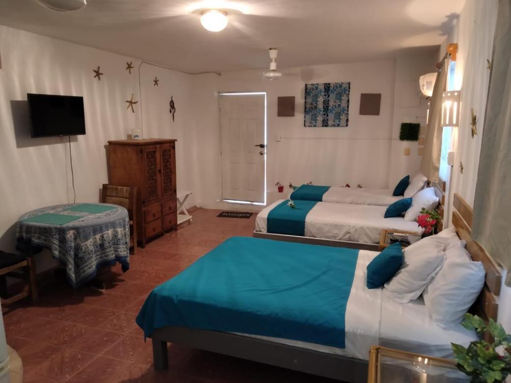 Casa San Miguel 1 Διαμέρισμα Κοζουμέλ Εξωτερικό φωτογραφία